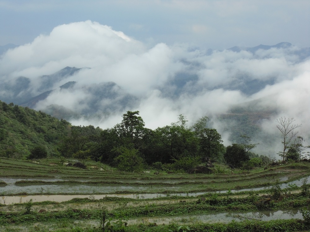 Chín vía gọi về